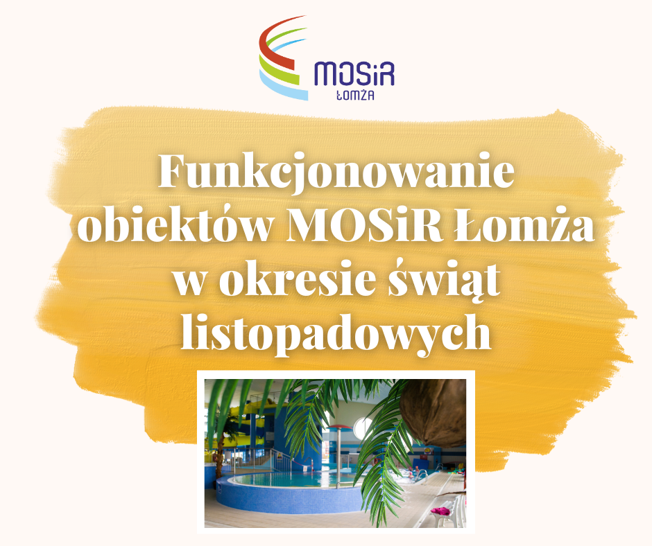 zdjęcie brodzika dla dzieci i sztucznej palmy w Parku Wodnym